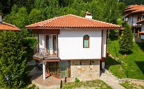 Pamporovo Cottage Savov